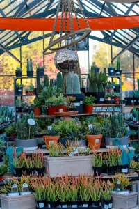 Interior Custom Greenhouse