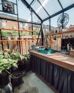 Mini Greenhouse