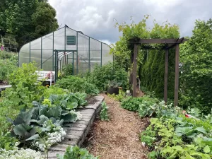 cold weather greenhouse